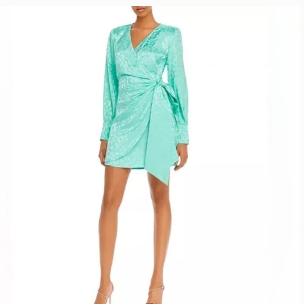 Andamane Carly Leopard-Print Wrap Mini Dress in Leopard Green‎ Size XS